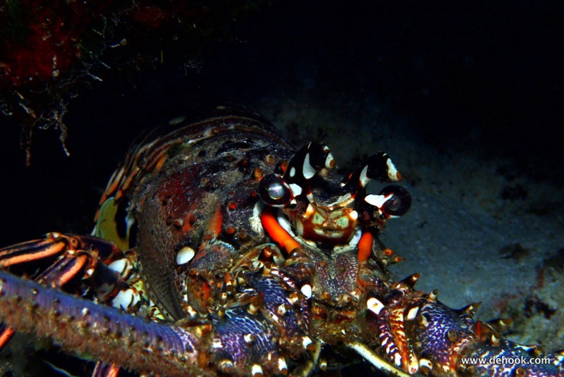 PA110405.JPG