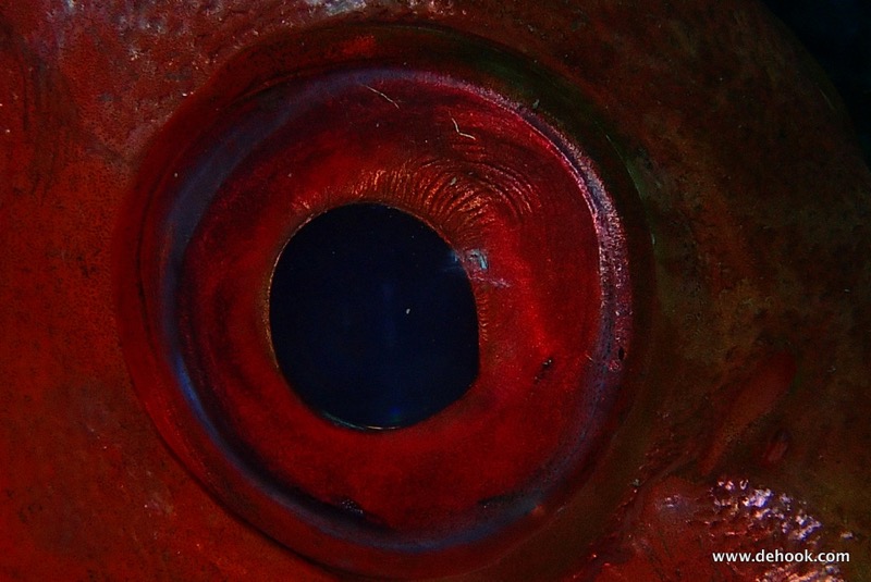 PA110436.JPG