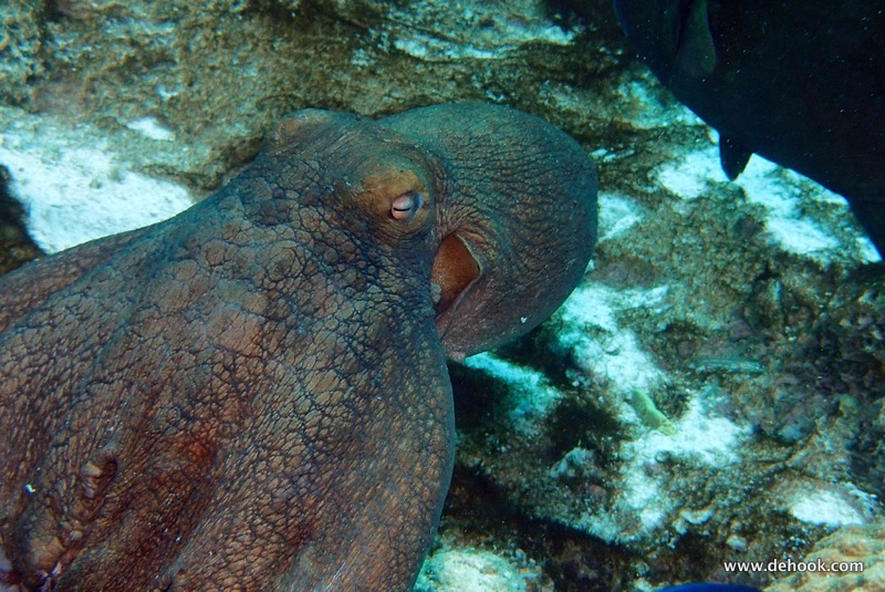 PA110489.JPG