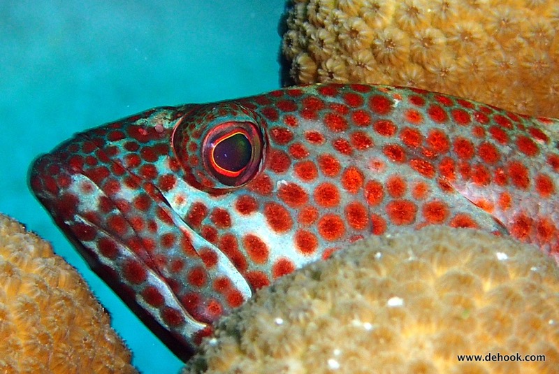 PA110507.JPG