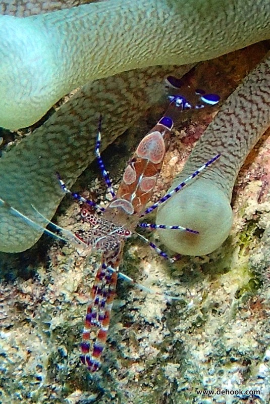PA120597.JPG