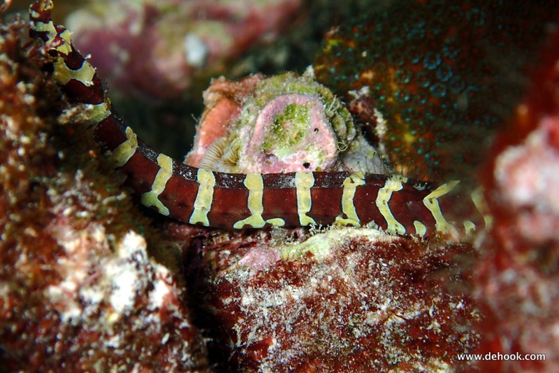 PA120738.JPG