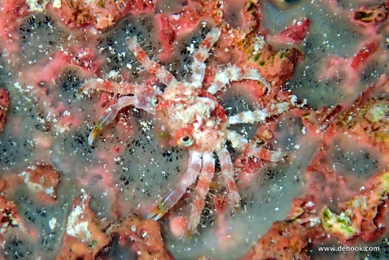 PA120775.JPG