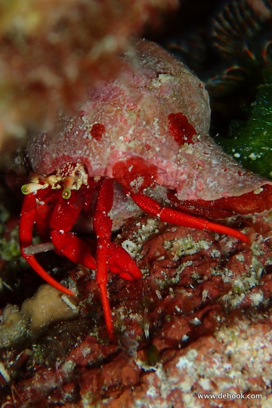 PA120816.JPG