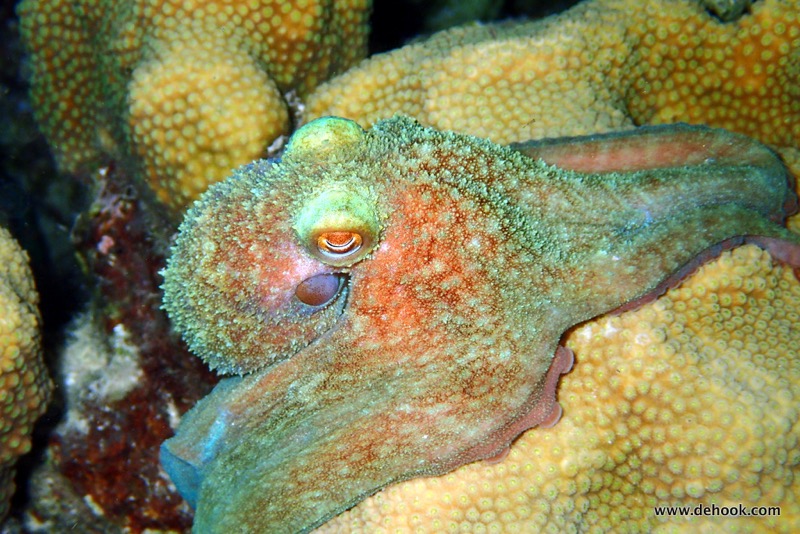 PA120850.JPG