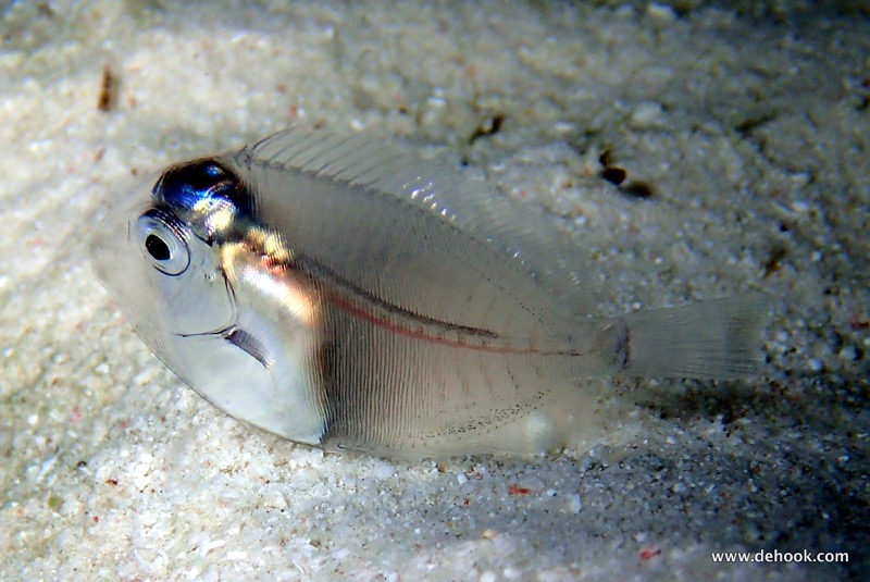 PA120859.JPG