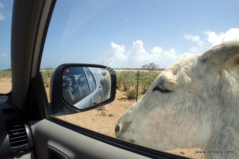 PA131040.JPG