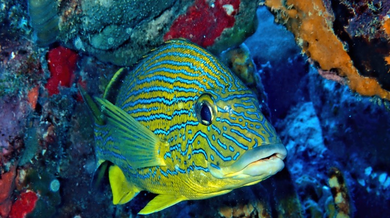 PA160326-studio_resize.jpg