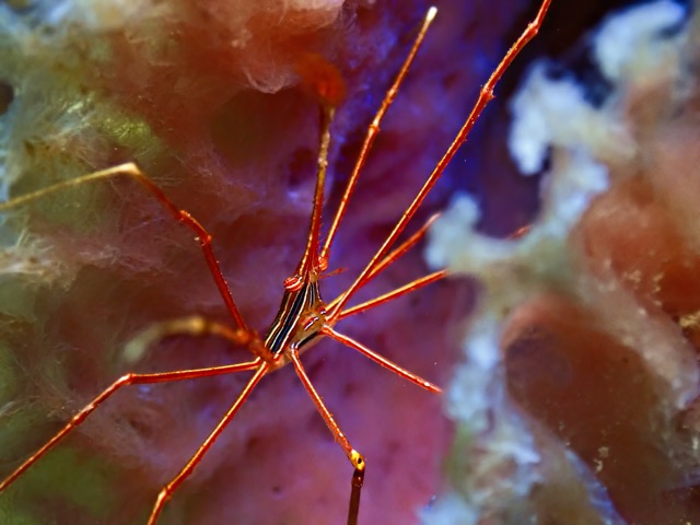 AIAITG611155-adjust-topaz-topaz-sharpen.jpg