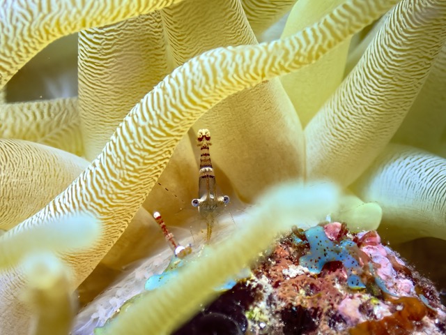 AITG611419-adjust-topaz.jpg