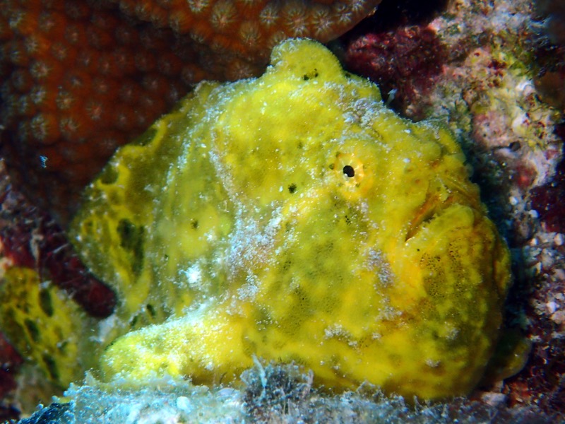 PA040519.JPG