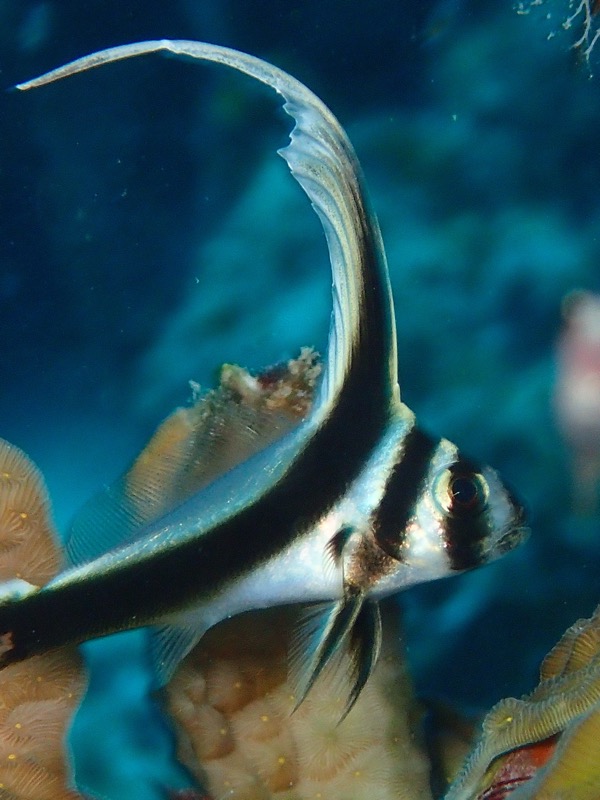 PA040587.JPG