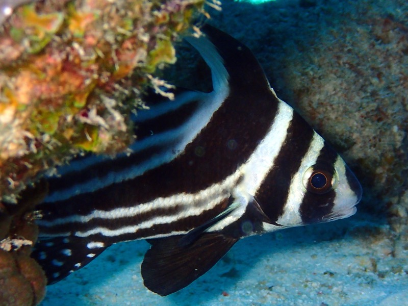 PA040591.JPG