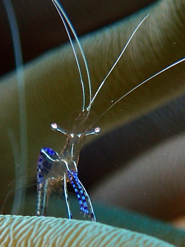 PA050022.JPG