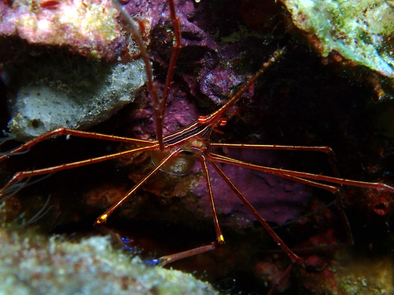 PA050040.JPG