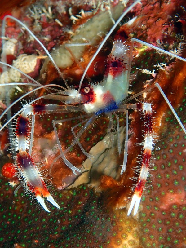 PA050777.JPG