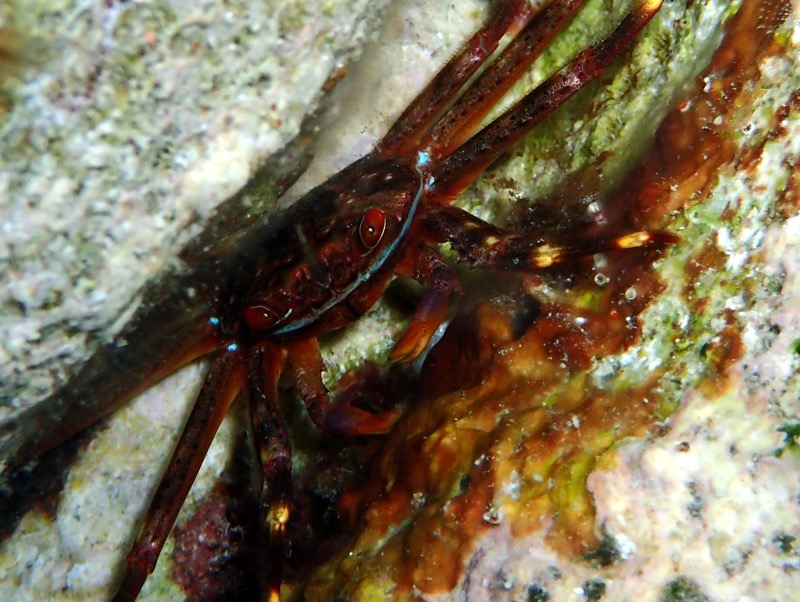 PA050849.JPG