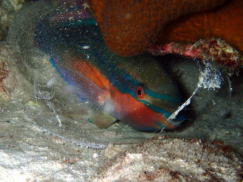 PA050850.JPG