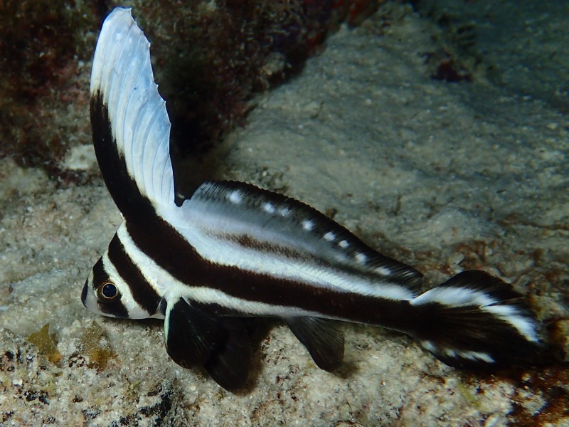 PA050862.JPG