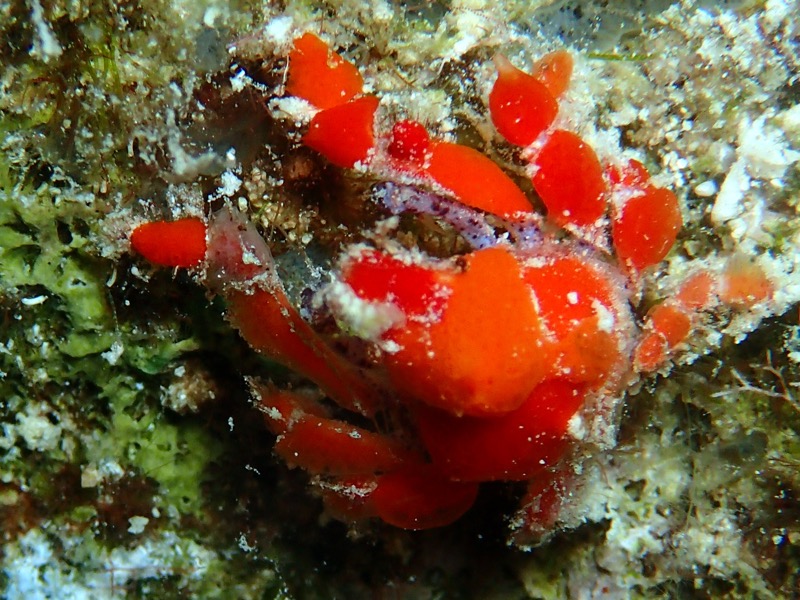 PA050865.JPG