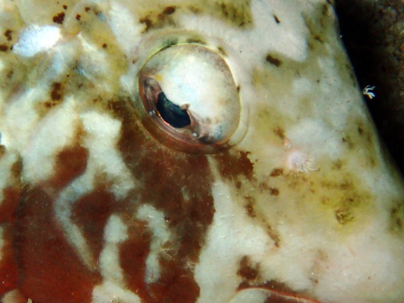 PA050880.JPG