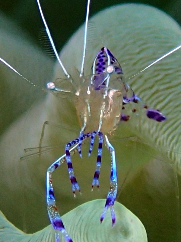 PA060146.JPG