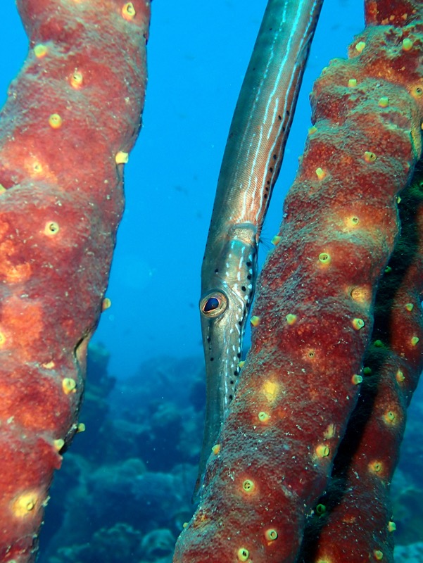 PA060925.JPG