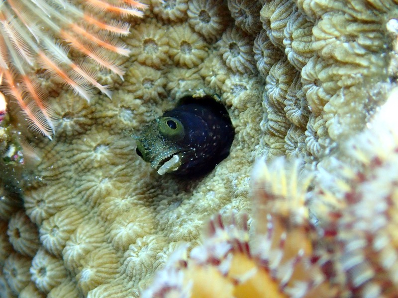 PA081206.JPG