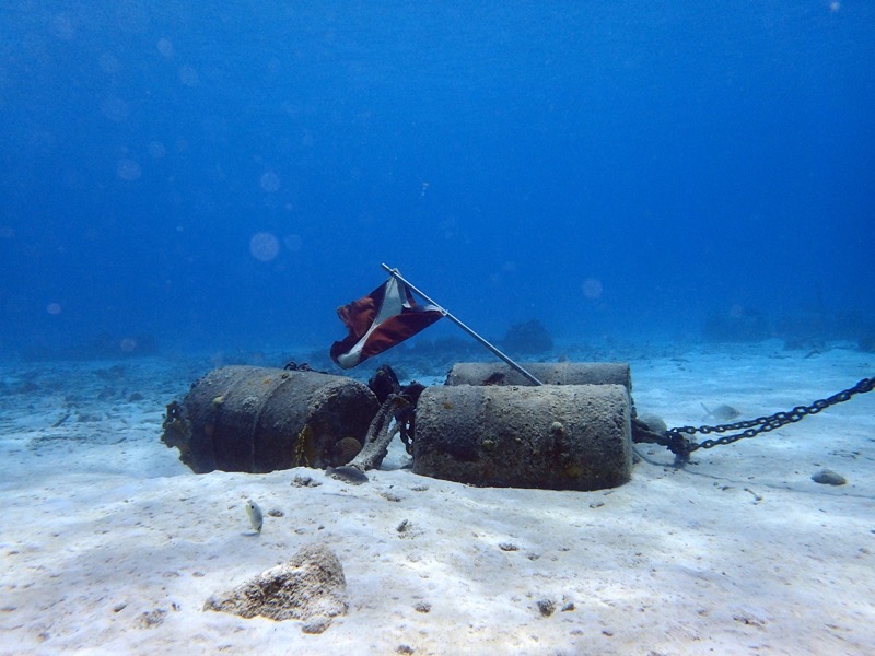 PA081300.JPG