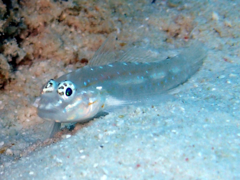 PA081323.JPG
