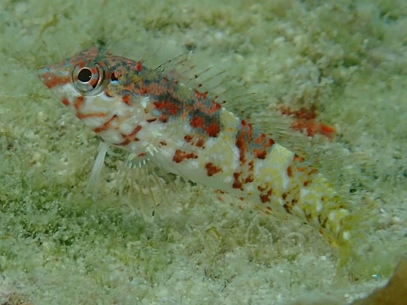 PA081340.JPG