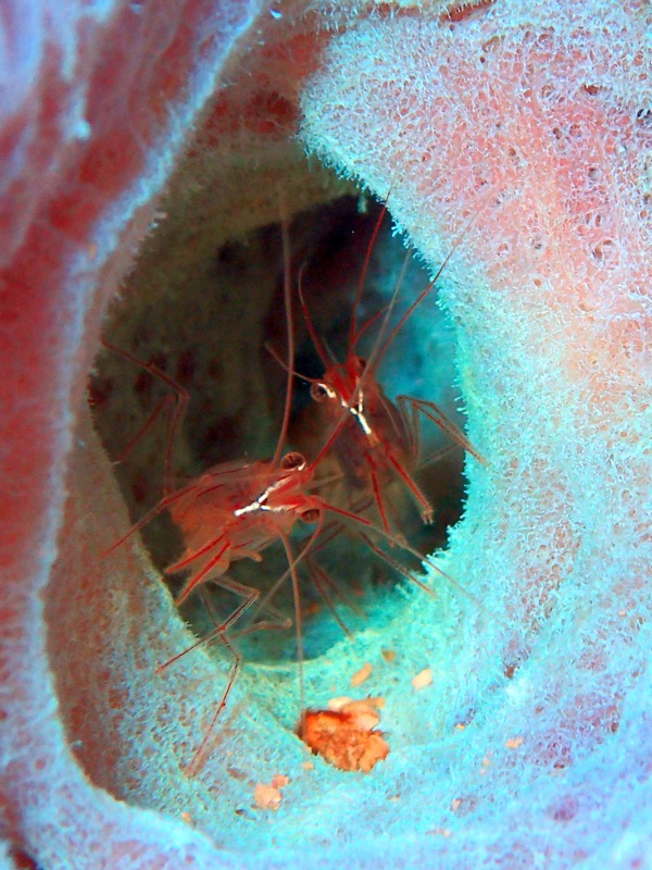 PA091435.JPG