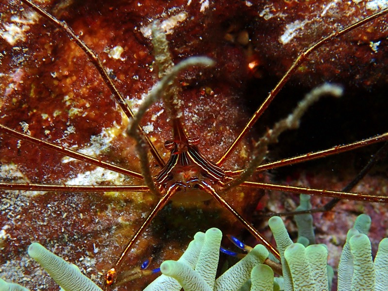 PA100470.JPG
