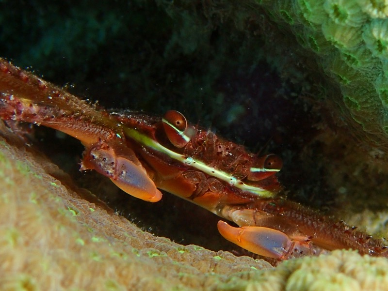 PA100485.JPG