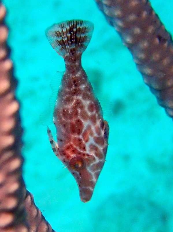 PA100494.JPG