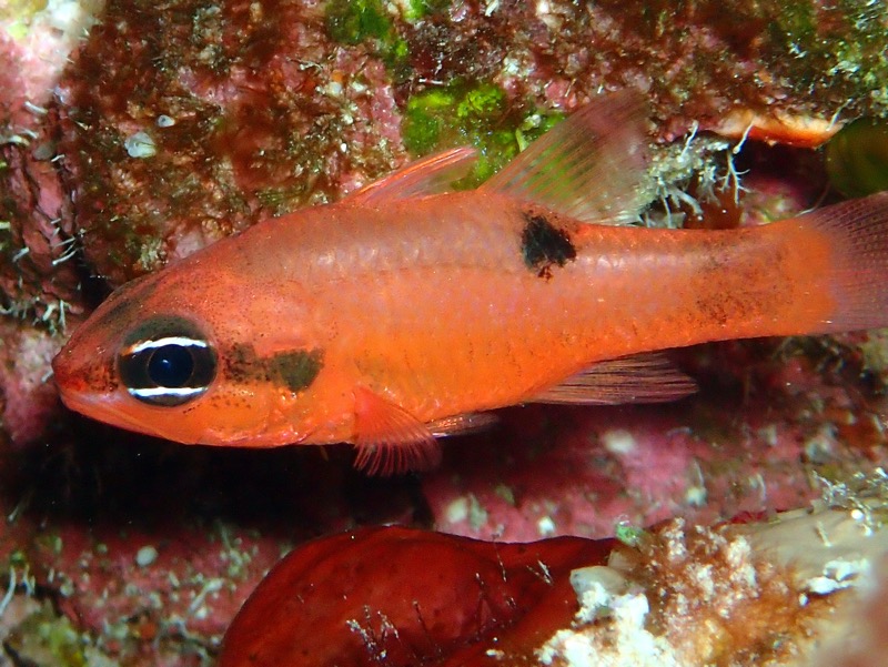 PA101552.JPG