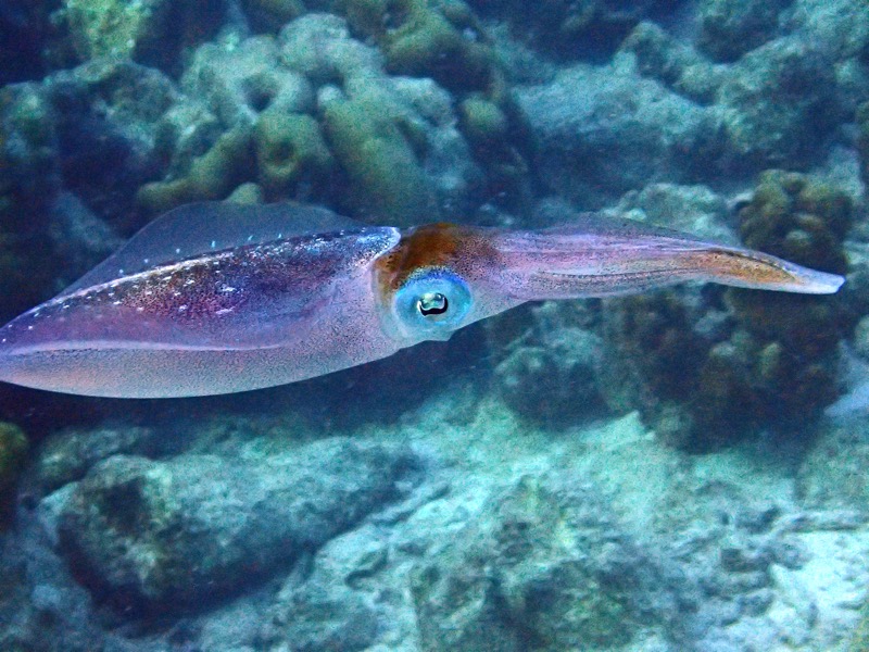 PA101788.JPG