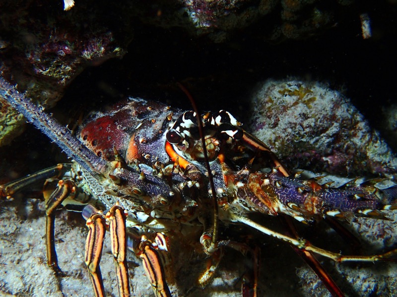 PA120682.JPG