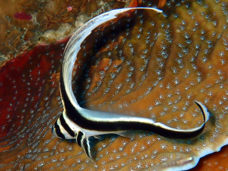 PA142373.JPG