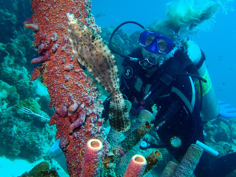 PA150797.JPG