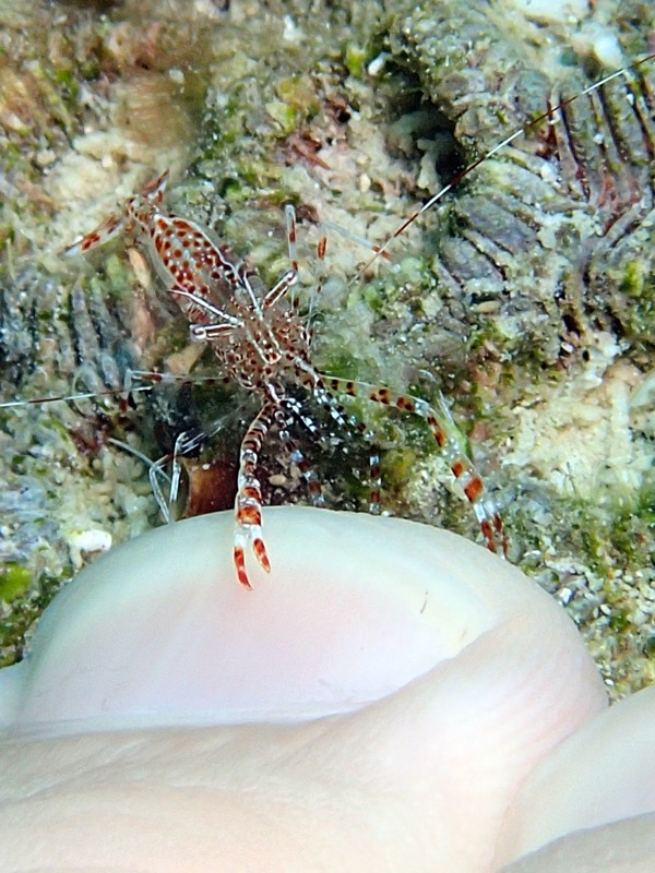 PA160837.JPG